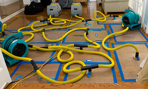 Professional Water Extraction technician working in Greeley, KS